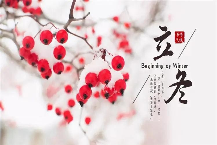 秋走冬又至，立冬啦